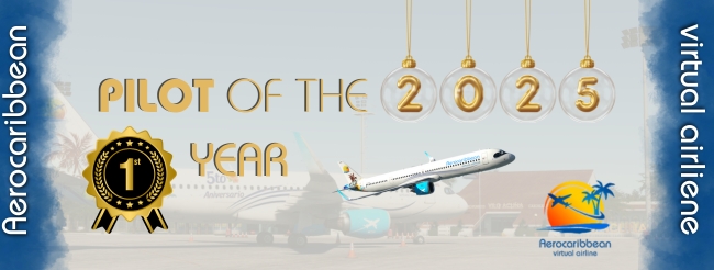 Awarded to the pilot who set a higher standard in virtual aviation throughout 2025, exemplifying dedication, excellence, and passion for flight.